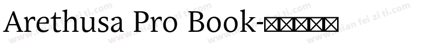 Arethusa Pro Book字体转换